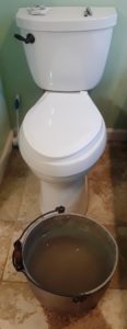 Flushing the toilet with grey water from the shower: My water bucket and toilet