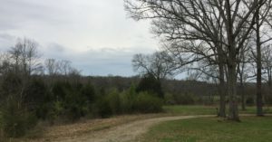Birdsong, nature's guy, Bird's song, Chickamauga, bird song