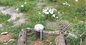 sulfur smelling well water