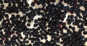 Blueberry / Strawberry Dream - No-Bake Cheesecake - Sugarless Dessert