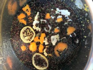 elderberry juice is a great source of quercetin - an immune system booster