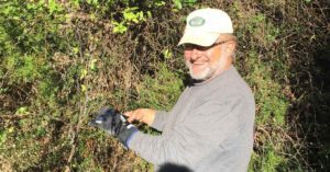 The Earth Needs Us: Pulling Privet and Braiding Sweet Grass