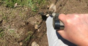 peace, mindfulness and balance in the garden