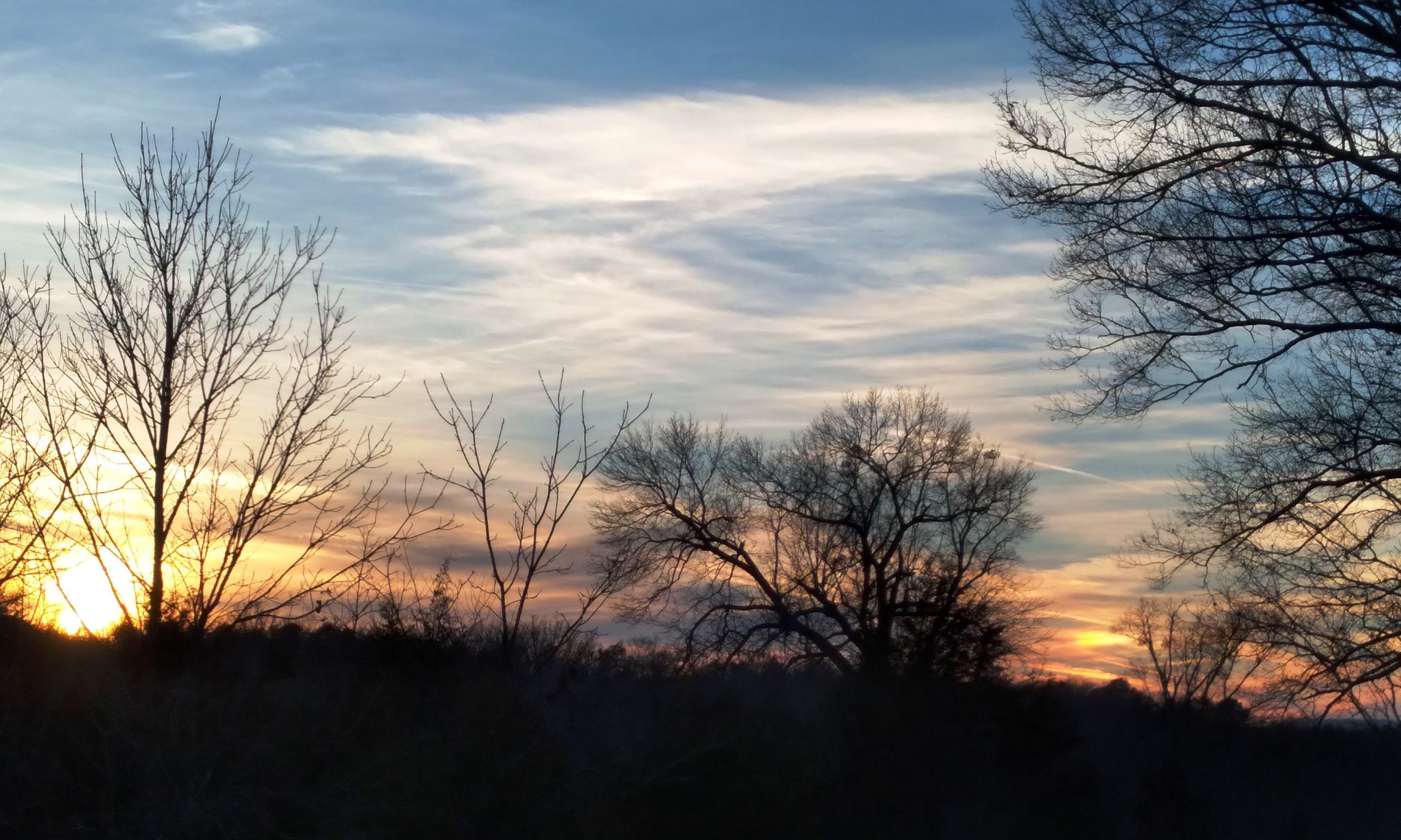 Old Woman of the Woods oak tree with a sunset and sundog, January, 2022 near Chickamauga NMP, NW Georgia