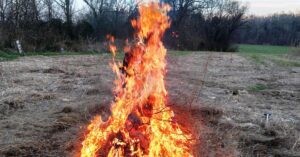 controlled burn