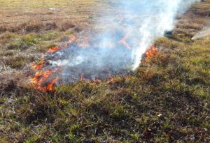 Grass burn with hose, January 2018