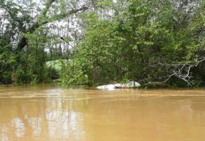 Flooded Kayak, West Chickamauga Creek, Nature's Guys April 2018