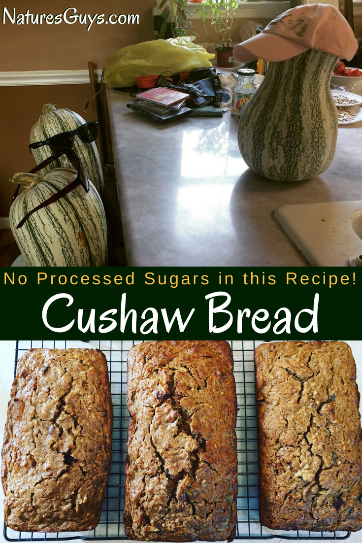Cushaw bread recipe with no processed sugars. Sweetened with dates, raisins, honey, molasses, and applesauce. Sugarless, sugar free.