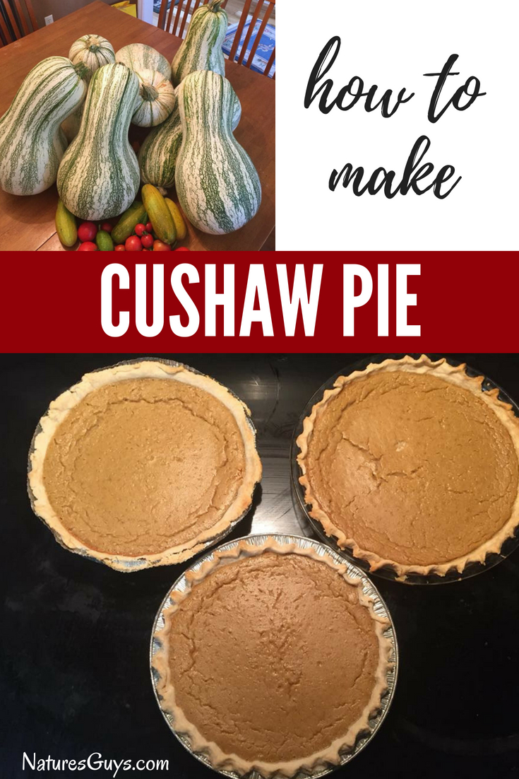 Cushaw Pie Recipe - Like Pumpkin Pie but only lighter and fluffier, more like a souffle.