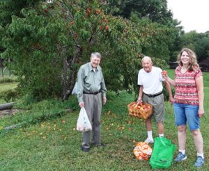 Old friends gather at the Poe peach tree to pick ripe (and not-so-ripe) fresh fruit on a warm Mowbray Mountain July evening.