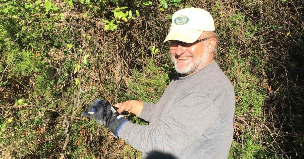 The Earth Needs Us: Pulling Privet and Braiding Sweet Grass