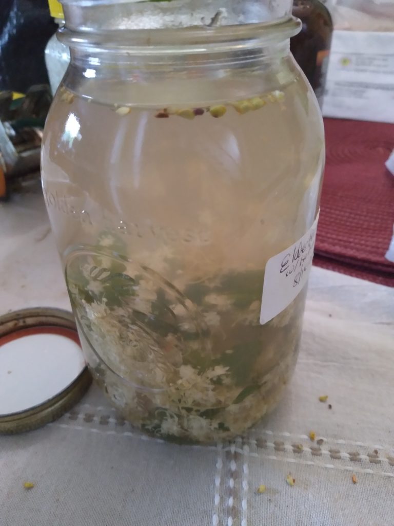 elderflower tea finished in a quart jar