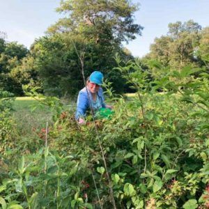 Marnie picking wild blackberries in Northwest Georgia