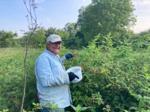 Dave picking wild blackberries in Northwest Georgia